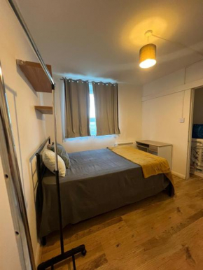 Cozy house Balham zone 2 London